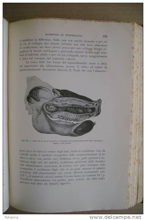 PFA/3 Kitt MANUALE DI ANATOMIA PATOLOGICA DEGLI ANIMALI DOMESTICI Vol.I Vallardi 1908/MEDICINA VETERINARIA - Medicina, Biología, Química