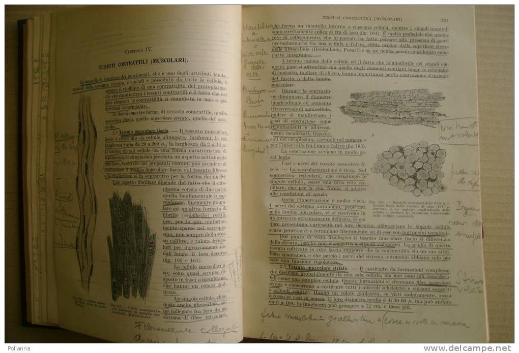 PFA/4 Zimmerl TRATTATO DI ANATOMIA VETERINARIA Vol.I Vallardi 1929/MEDICINA/ANIMALI - Geneeskunde, Biologie, Chemie