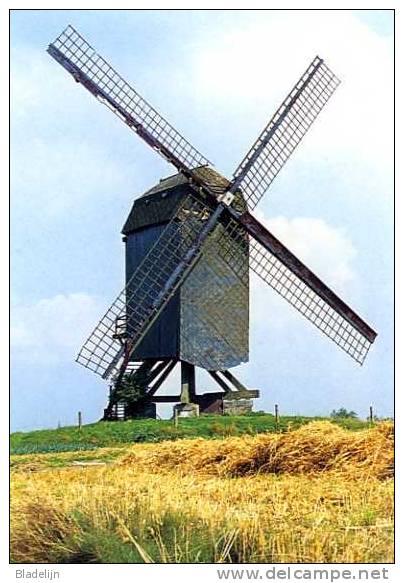 BALEGEM - Oosterzele (O.Vl.) - Molen/moulin - Historische Opname V.d. Windekemolen In 1972 (voor De Restauratie) TOP !!! - Oosterzele