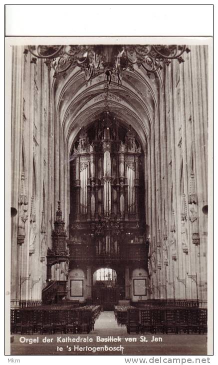 Cathedrale St. Jan Orgel - 's-Hertogenbosch