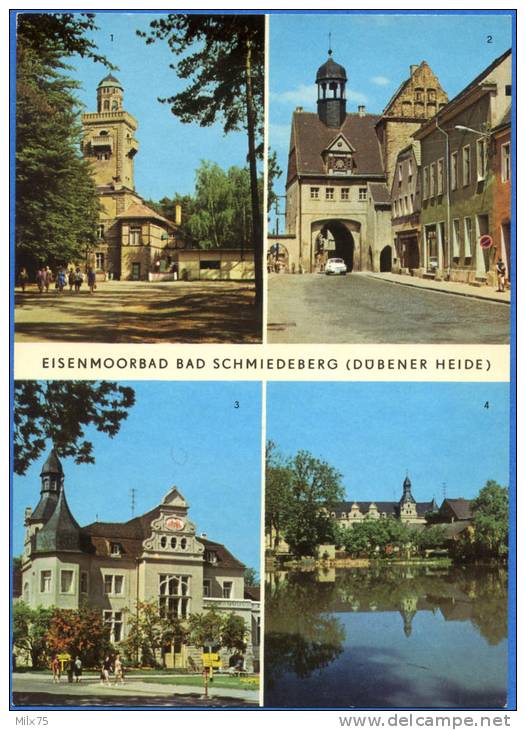 ALLEMAGNE / GERMANY : BAD SCHMIEDEBERG (DÜBENER HEIDE) - Multi-Vues - Bad Schmiedeberg