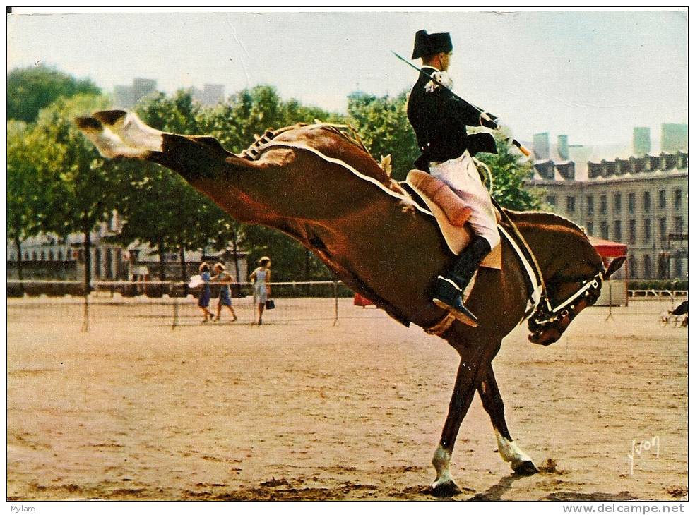 Cpm49 Saumur Une " Croupade " - Horse Show