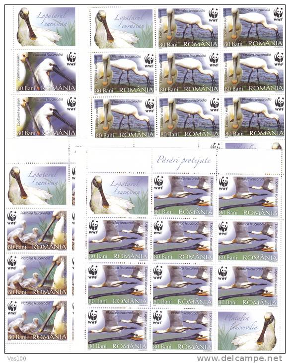 BIRDS CICOGNES WWF MINISHEET 10 STAMPS + LABELS,MNH **.2006 ROMANIA. - Ooievaars