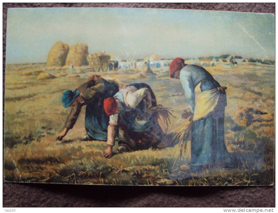 GROUP OF WOMEN ON THE FIELD PICKING HARVEST - Paintings