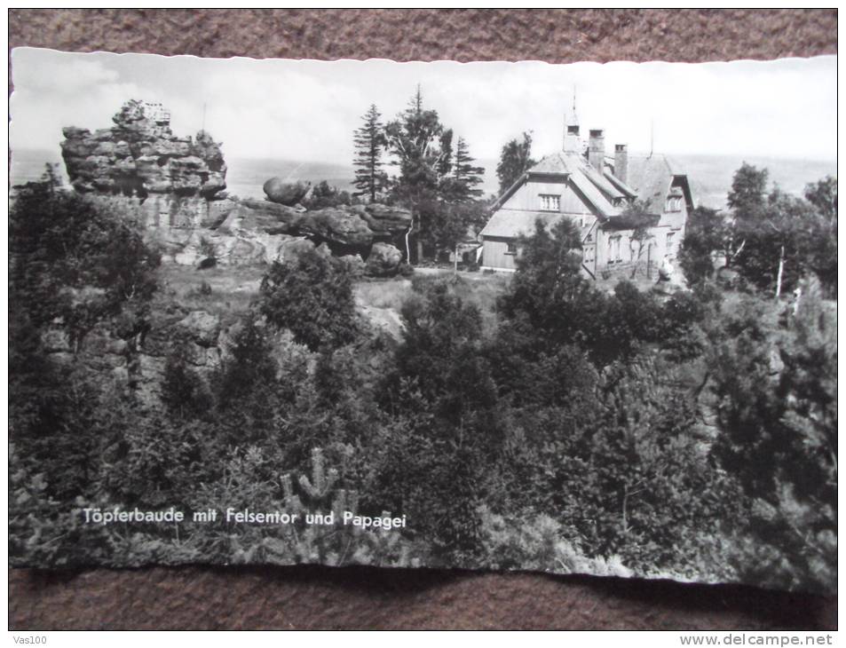 TOPFERBAUDE MIT FELSENTOR UND PAPAGEI, GENERAL VIEW - Oybin