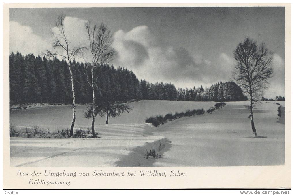 Schömberg, Schwarzw., Frühlingsahnung Um 1930 - Schömberg