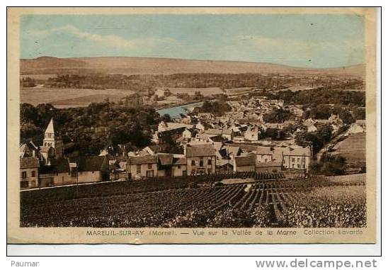 625  Mareuil Sur AY    Vue Sur La  Vallée De La Marne - Mareuil-sur-Ay