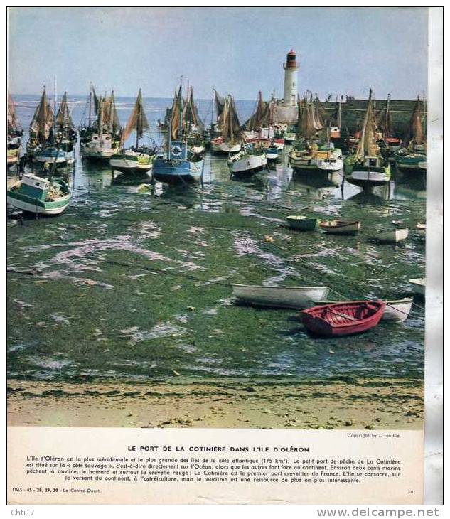 ILE D OLERON LE PORT DE LA COTINIERE 1963  METIER PECHEUR   /  PHOTO FORMAT 24X20CM EDITION 1963 - Lieux