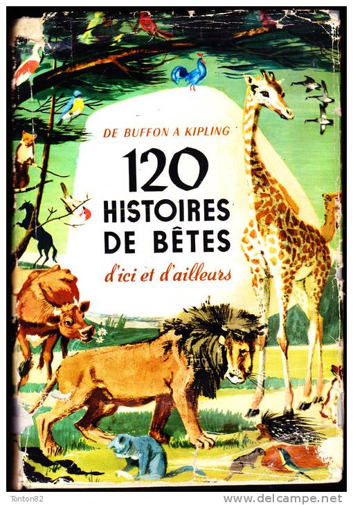 120 Histoires De Bêtes - De Buffon à Kipling - Gründ - ( 1957 ) - Cuentos