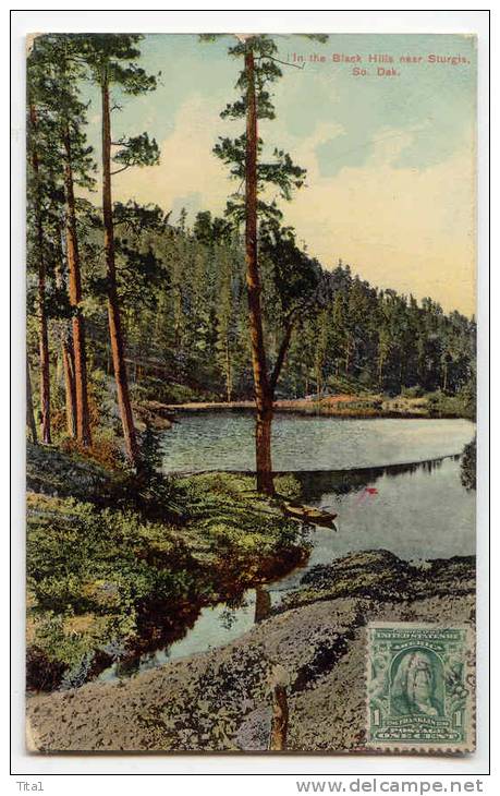 D10152 - In The Black Hills Near Sturgis - Other & Unclassified
