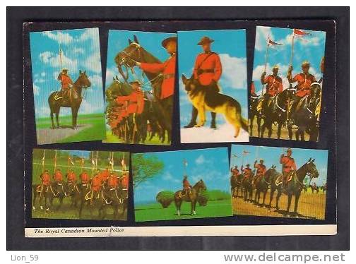 130390 / A LEGENDARY FORCE , THE ROYAL CANADIAN MOUNTED POLICE , DOG , HORSE -  CANADA PAR AVION 1974 STAMP - Polizia – Gendarmeria