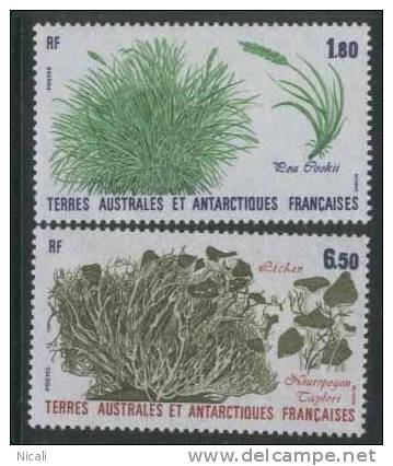 FRENCH ANTARCTICA 1987 Plants SG221-2 UNHM EY531 - Unused Stamps