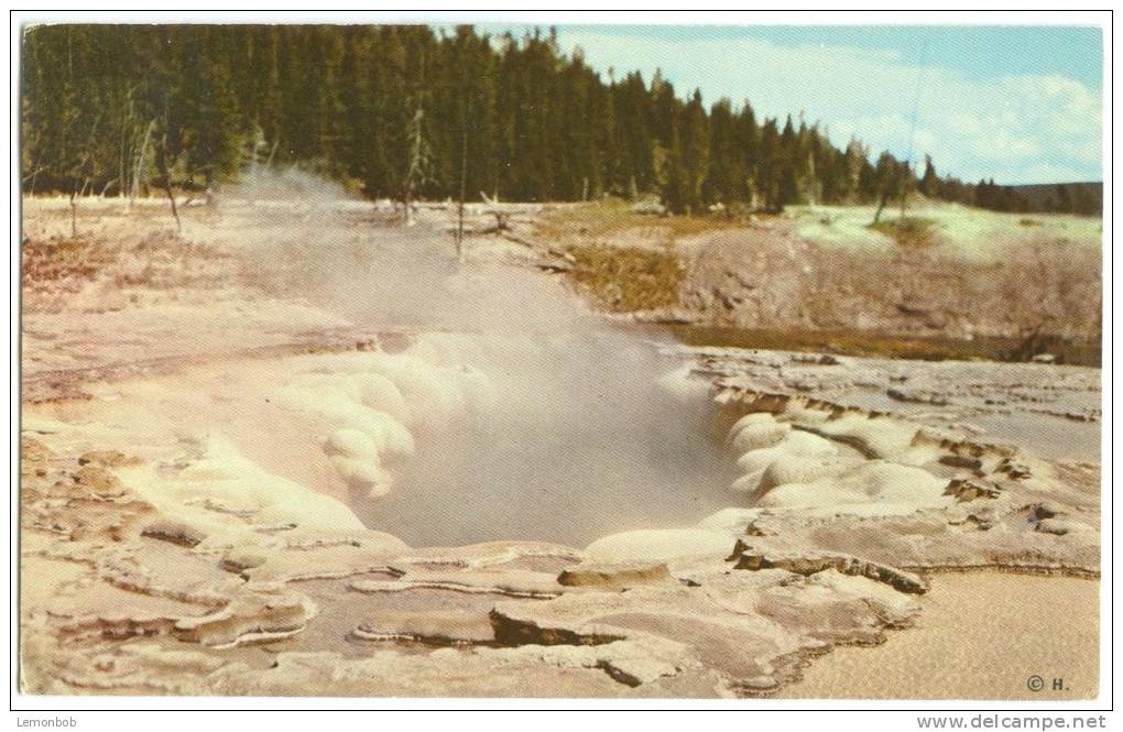 USA, Oblong Geyser Crater, Yellowstone National Park, Unused Postcard [12959] - Yellowstone