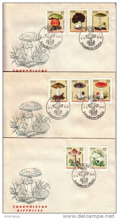 3 FDC  DDR "Europäische Giftpilze" /  FDC GDR "European Poisonous Mushrooms" - Pilze