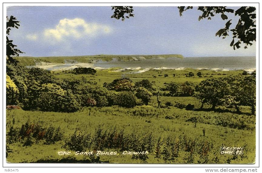 OXWICH : THE SAND DUNES - Glamorgan