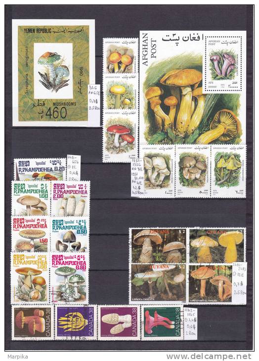 FLORA World Wide, Plants, Flowers, Mushrooms, Fruits, Over 219 Stamps - Collezioni (in Album)