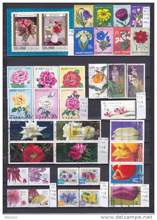 FLORA World Wide, Plants, Flowers, Mushrooms, Fruits, Over 219 Stamps - Sammlungen (im Alben)