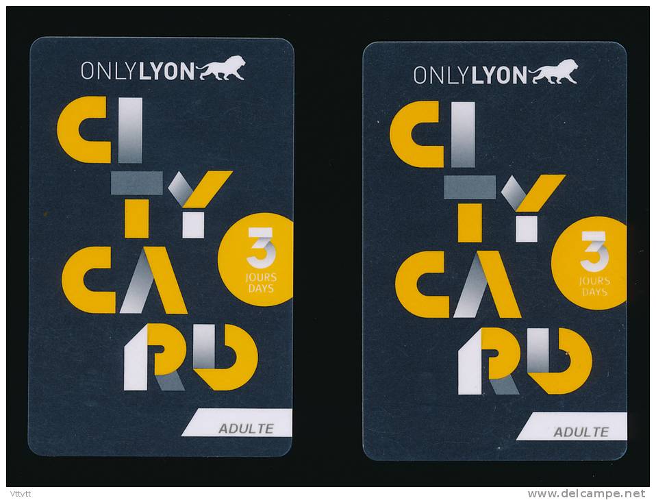 Carte Touristique : 2 CITY CARD , Only Lyon, Accés Aux Musées, Lieux Touristiques... - Autres & Non Classés