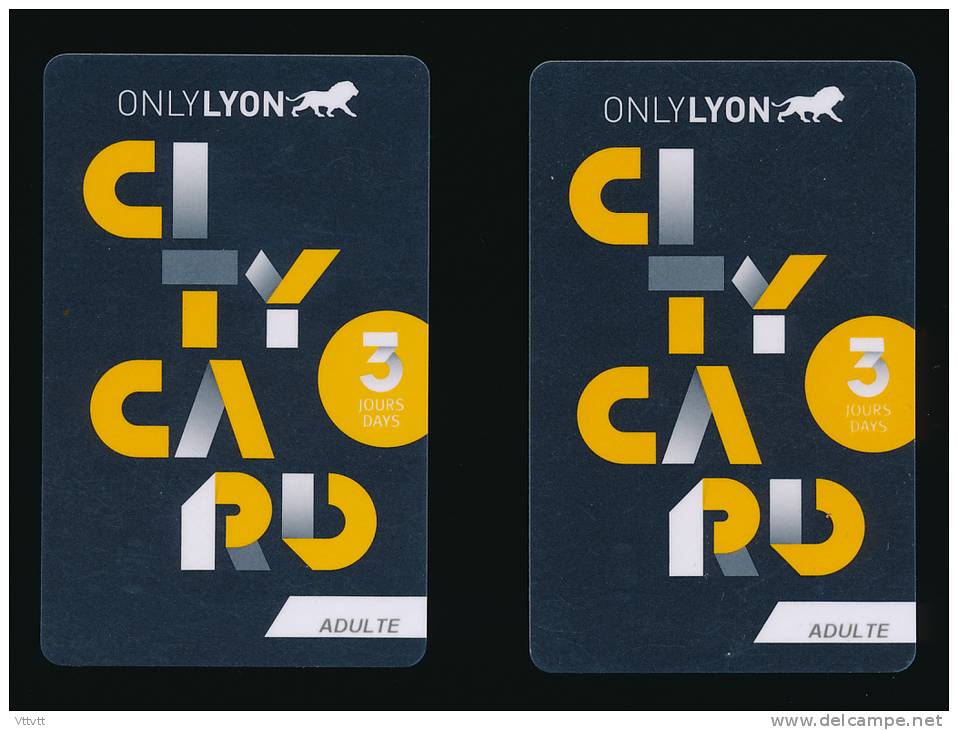 Carte Touristique : 2 CITY CARD , Only Lyon, Accés Aux Musées, Lieux Touristiques... - Other & Unclassified