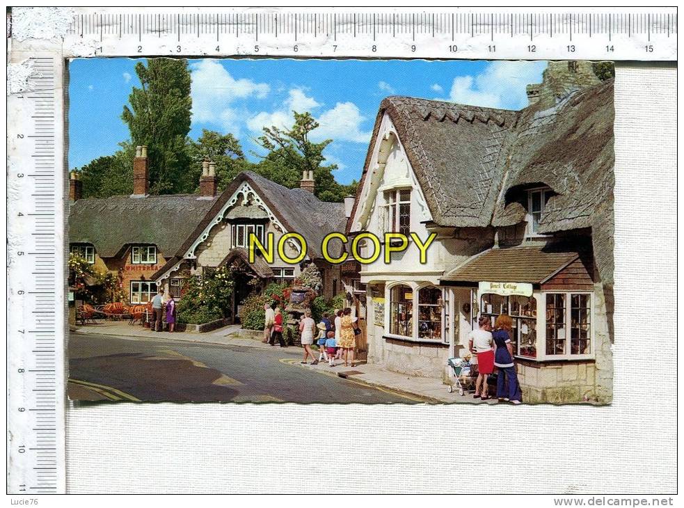THE ISLE OF WIGHT  -  SHANKLIN - The Old Village - Autres & Non Classés