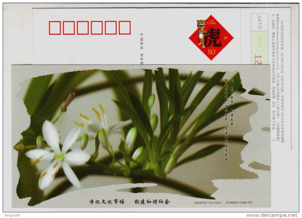 Orchid Flower King Of Flower,CN 10 Anhui Purify The Cultural Market Build Harmonious Society Advert Pre-stamped Card - Orchids