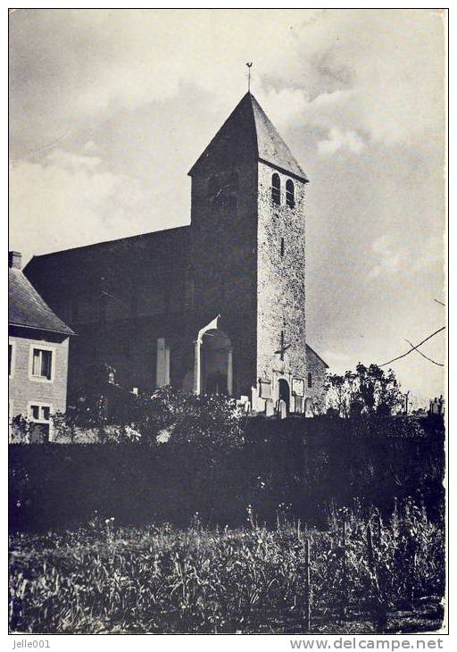 Bertem Kerk St.-Pieters - Bertem
