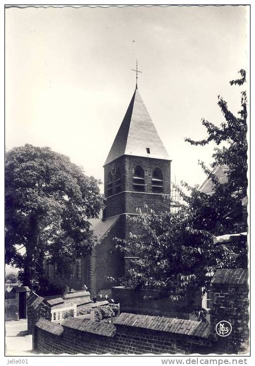 Langdorp Kerk Sint-Pieters - Aarschot