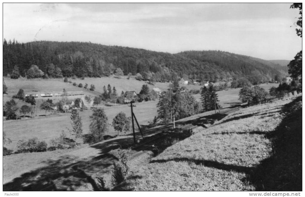 Holzau Im Erzgebirge - Teilansicht - Holzhau