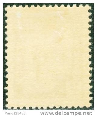 TUNISIA, TUNISIE, PROTETTORATO FRANCESE, FRENCH PROTECTORATE, SEGNATASSE, 1923,  NUOVO (MLH*), Scott J13, Mi P38, YT T38 - Unused Stamps