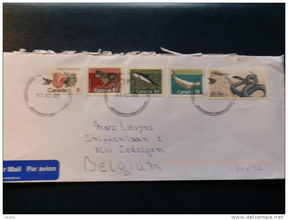 31/692  LETTRE   CANADA - Serpenti