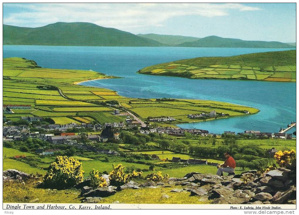 Dingle Town And Harbour, Co. Kerry, Ireland.  A-317 - Kerry