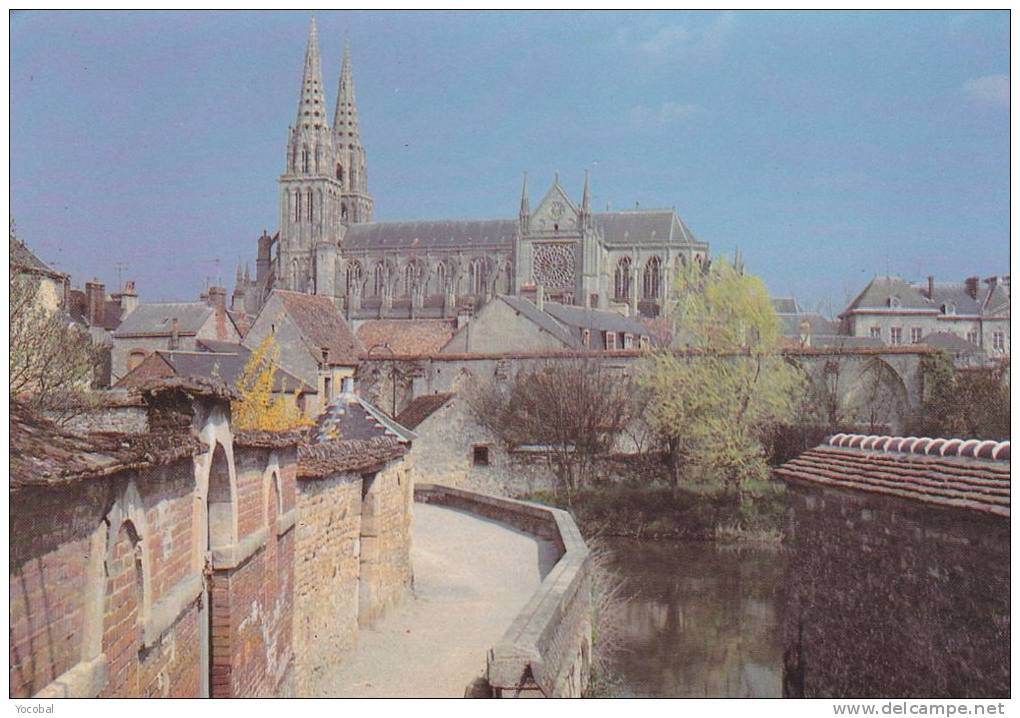 Cp , 61 , SEES , La Cathédrale (XIIIe S.) , Promenade Du Vivier - Sees