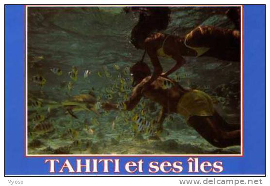 Tahiti  Et Ses Iles, Requinsshow A L'hotel Macara - Tahiti