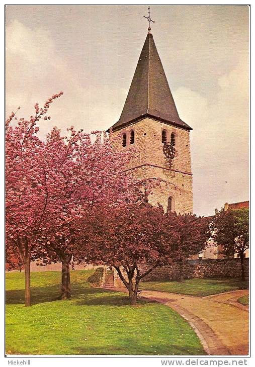 WATERMAEL-BOITSFORT-EGLISE SAINT CLEMENT - Watermaal-Bosvoorde - Watermael-Boitsfort