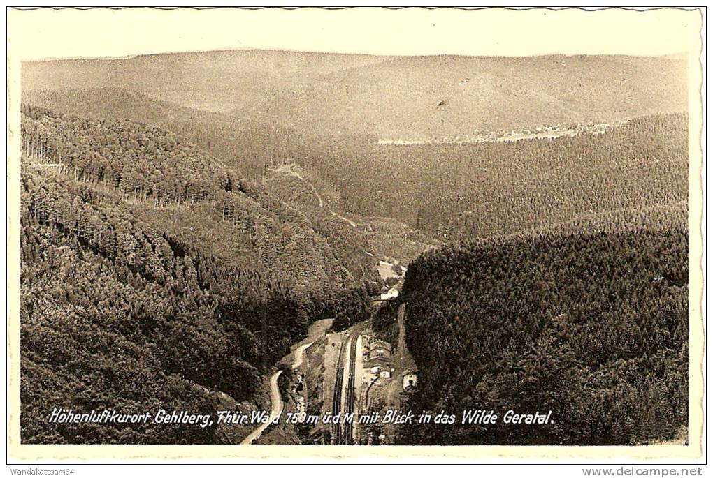 AK 8027 Höhenluftkurort Gehlberg, Thür. Wald 750 M ü. D. M. Mit Blick In Das Wilde Geratal. Richard Zieschank-Verlag, Ru - Rudolstadt