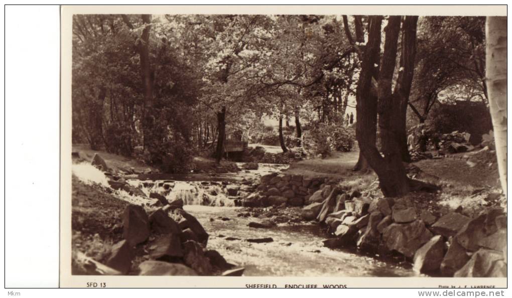 Endcliffe Woods - Sheffield