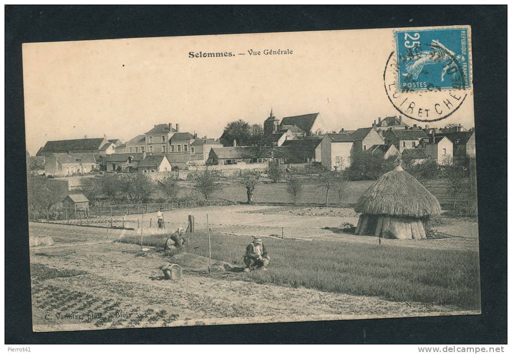 SELOMMES - Vue Générale (belle Carte Animée - Travail Aux Champs ) - Selommes