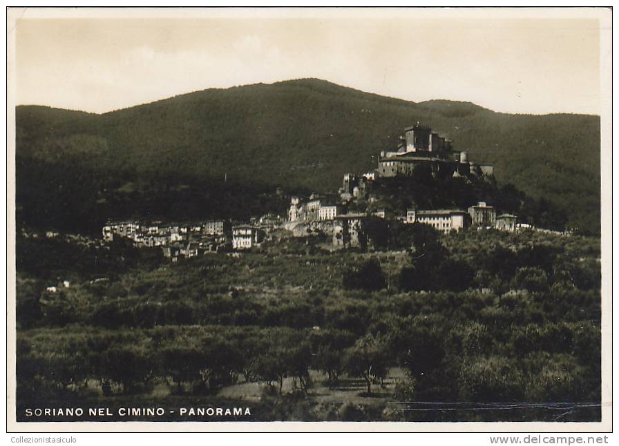 E201- Soriano Nel Cimino - Panorama - Viterbo - F.g. -non  Viaggiata - Viterbo