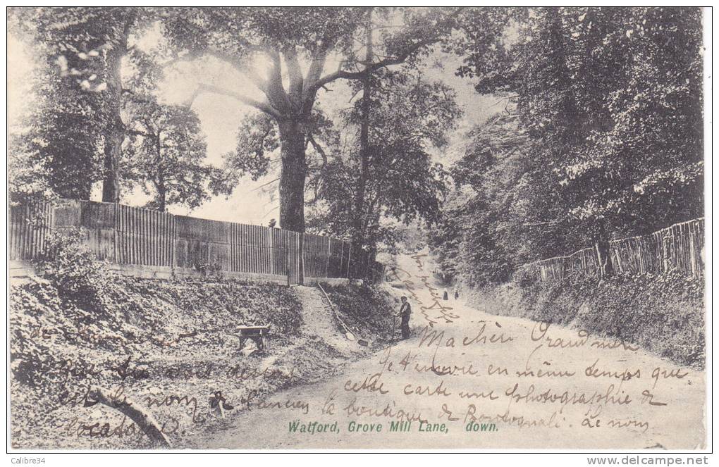 WATFORD Grove Mill Lane, Down  (1904) - Hertfordshire