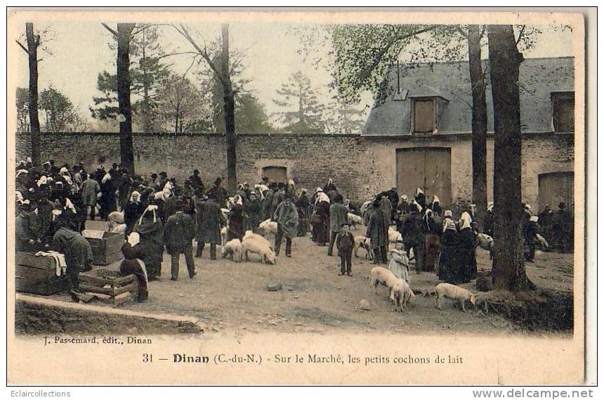 Dinan    22   Marché Des Petits Cochons De Lait - Dinan
