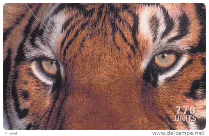 Télécarte - Taxcard : Tigre Du Bengale - Selva