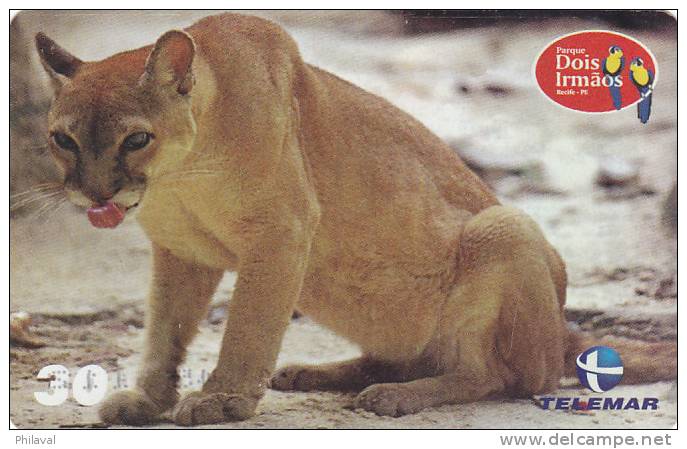 Télécarte - Taxcard : Le Puma Concolor - Jungle