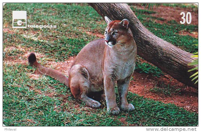 Télécarte - Taxcard : Le Puma Concolor - Jungle