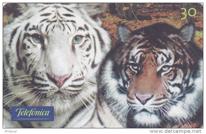 Télécarte - Taxcard : Tigres De Sibérie - Selva