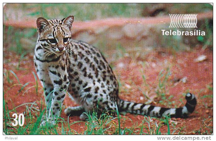 Télécarte - Taxcard : Léopard Tigre - Jungle