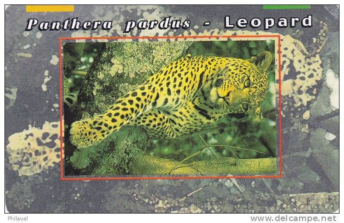 Télécarte - Taxcard : Panthère Pardus - Léopard - Jungle