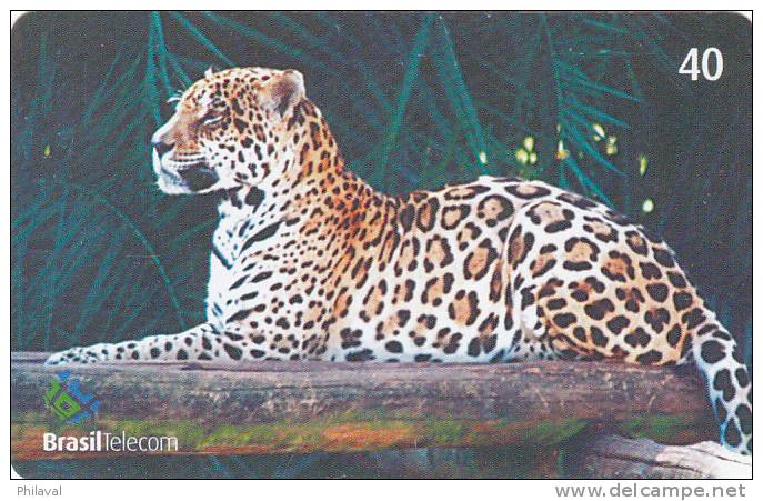 Télécarte - Taxcard : Onça Pintada - Panthera Onca - Oerwoud