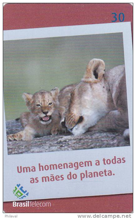 Télécarte - Taxcard : Gato Murisco - Une Lionne Et Son Petit - Selva