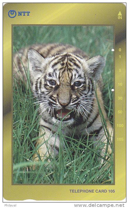 Télécarte - Taxcard : Jeune Tigre - Jungle