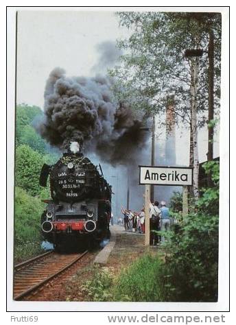 TRAIN - AK141174 Abschied Vom Plandampf Des Bw Glauchau - Lok 50 3576 .. Auf Der Muldentalbahn - Bahnhöfe Mit Zügen